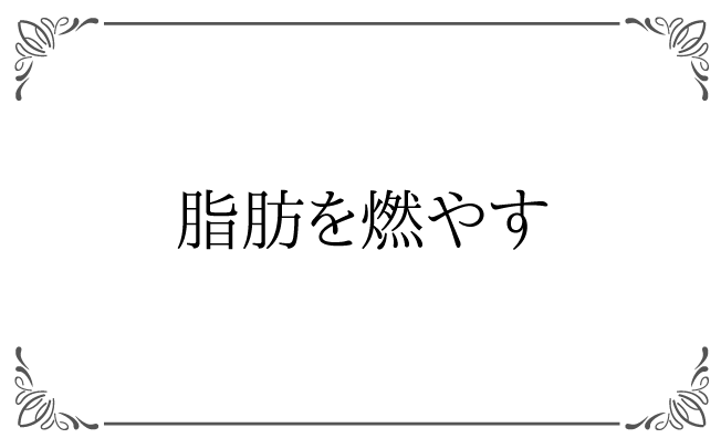 脂肪を燃やす